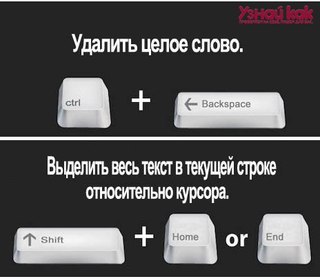 текст при наведении